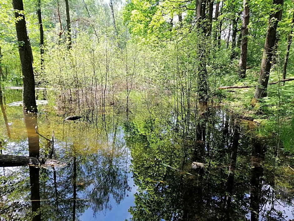 Ośrodek wypoczynkowy "Źródła Dobrej"
