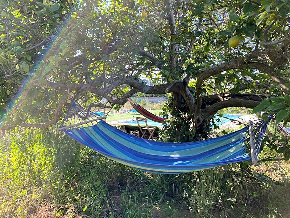 The Farm Tiny House - Tiny Casa