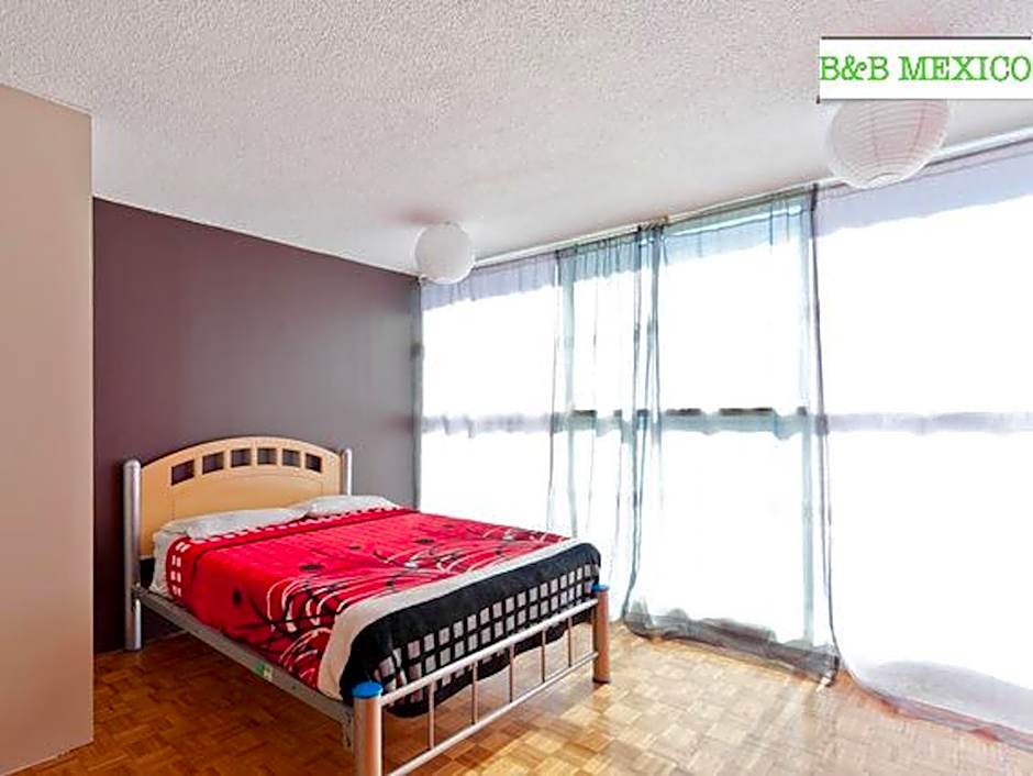 B&B México Roma Norte