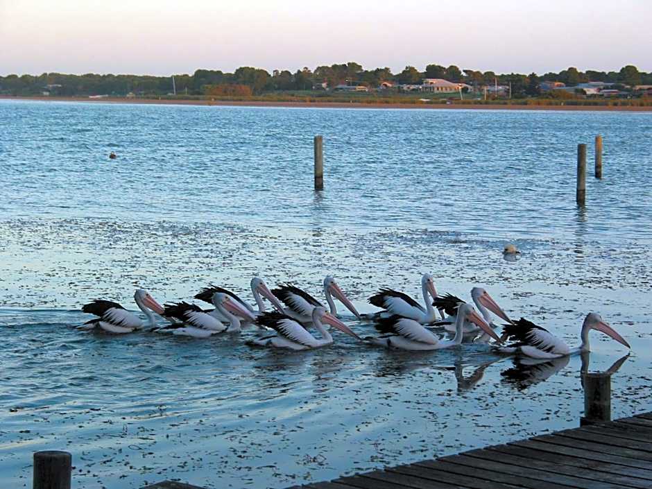 Boathouse - Birks River Retreat