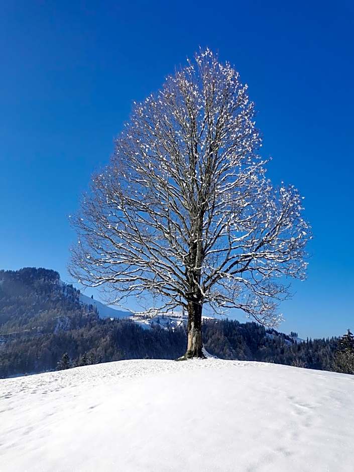 Gasthof Kreuz Marbach