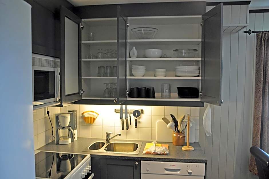 Alpin Apartments Solsiden