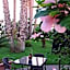Villetta Del Salento Exclusive B&B