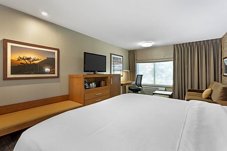 Best Western Plus Cottontree Inn