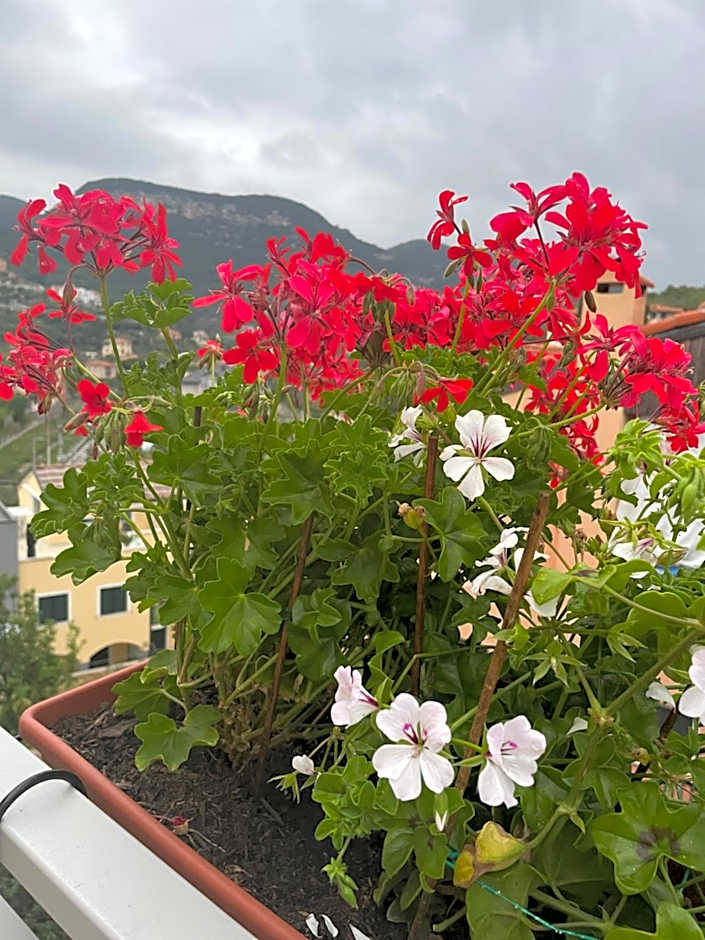 B&B La DORMERIA