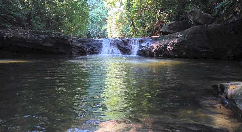 Green lodge tangkahan 