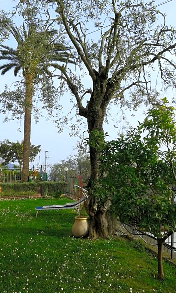 Il Gabbiano Di Pieve