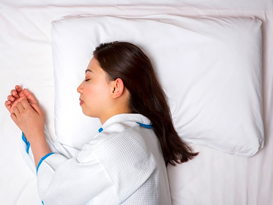 Comfort Hotel Toyohashi