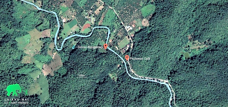 Chiang Mai Elephant Friends