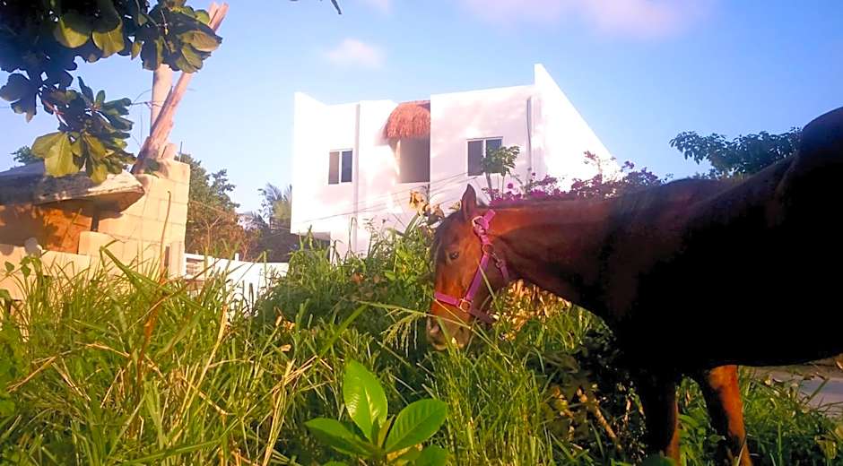 Hostel Humanity - Puerto Morelos