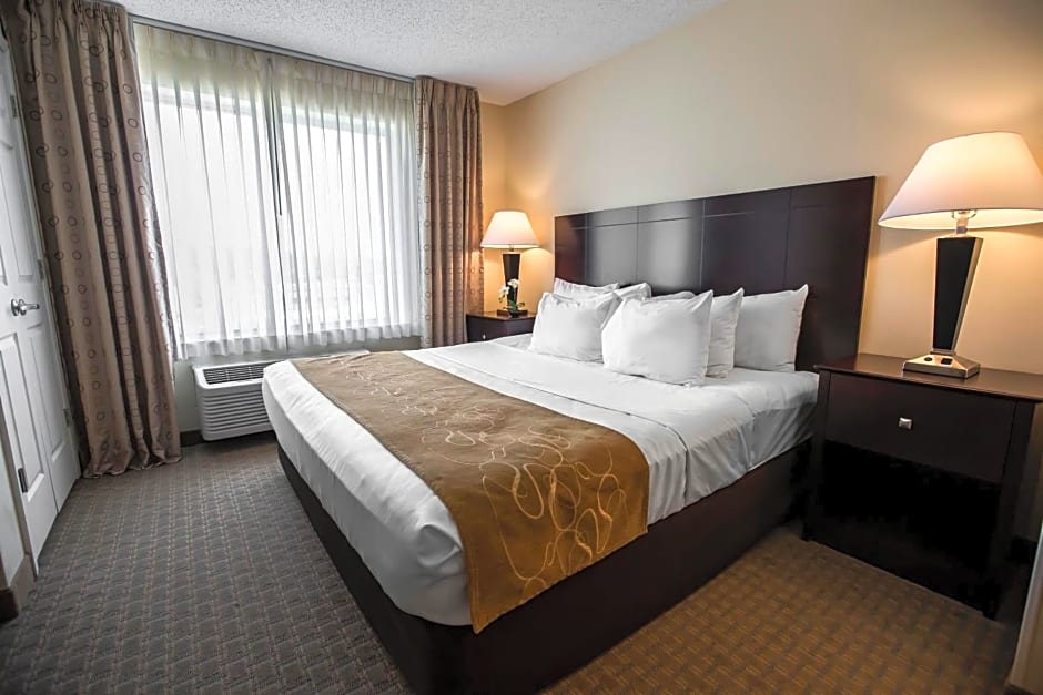 Comfort Suites University Area