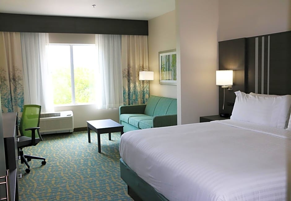 Holiday Inn Express & Suites Hendersonville SE - Flat Rock