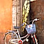 Ibis Mohammedia