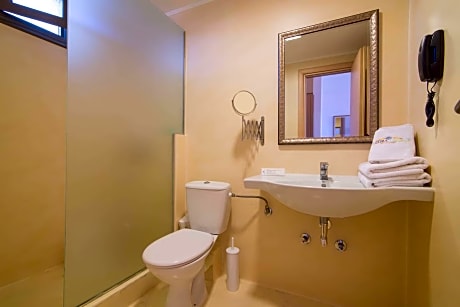 Flegra Palace Superior Room