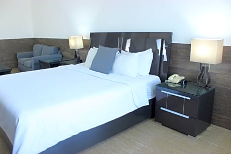 Junior Studio Suite (1 King Bed)