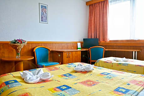 Double Room with Free Parking