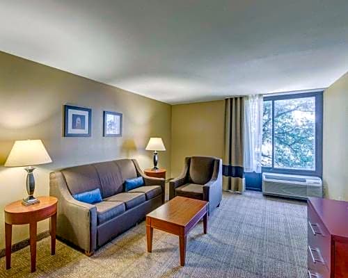 Comfort Inn & Suites Plano East