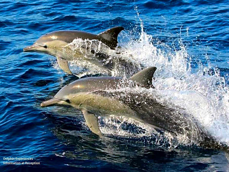 Newcastle Links Motel