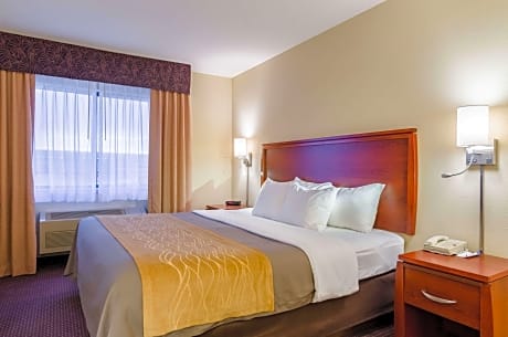 1 King Bed, Nonsmoking