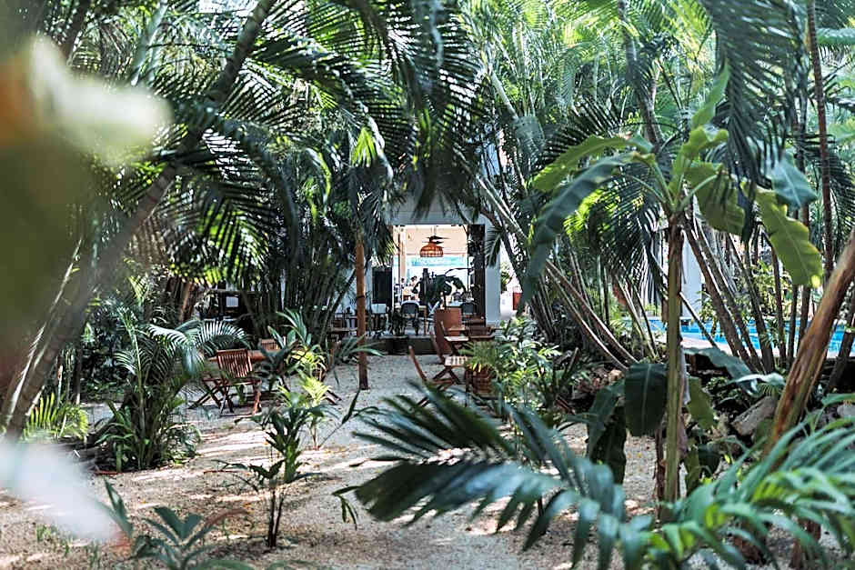 Hotel Casa Barbara Holbox