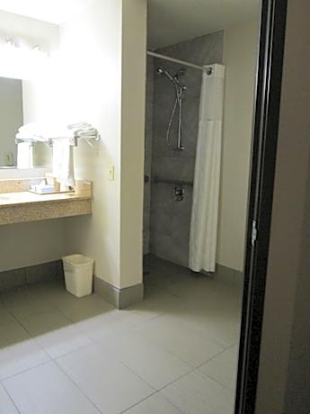 1 Queen Bed, Accessible Room, Non-Smoking