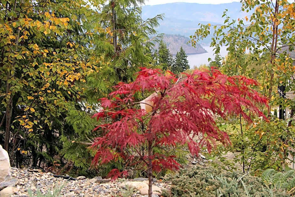 Selah Retreat Guesthouse B&B