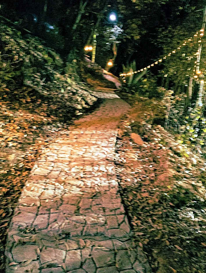 Mariposa - Cabañas Puerto del Zopilote