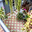 Hostal Posada del Maple