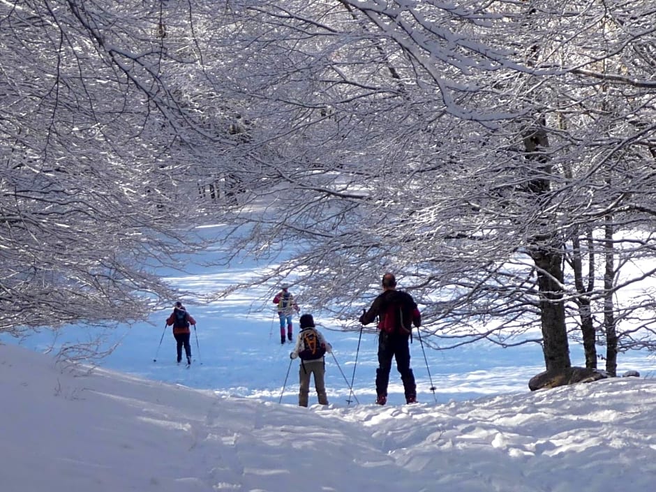 La Bifora e Le Lune Vico sotto gli archi 5
