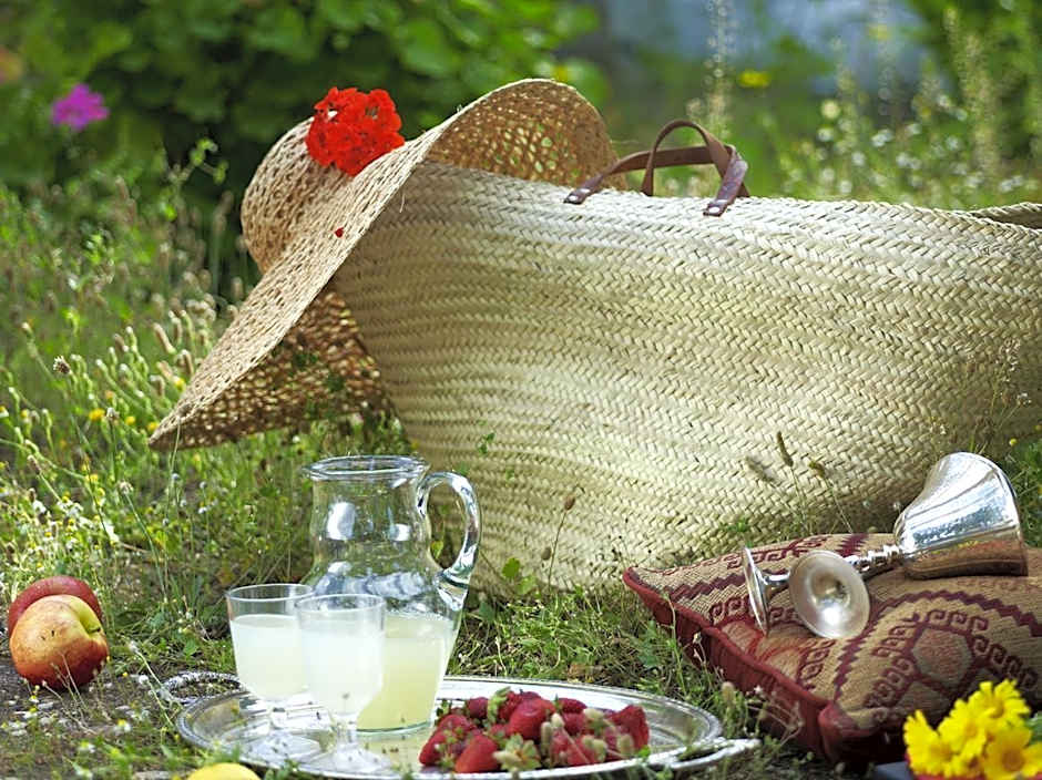 Poseidonion Grand Hotel