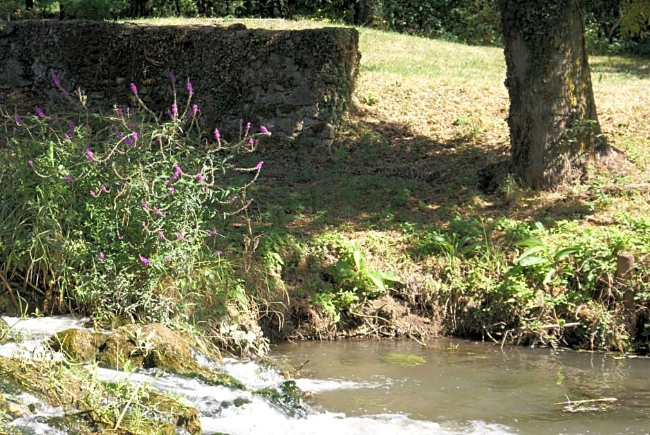 Moulin de Champrond -Montmirail -Sarthe