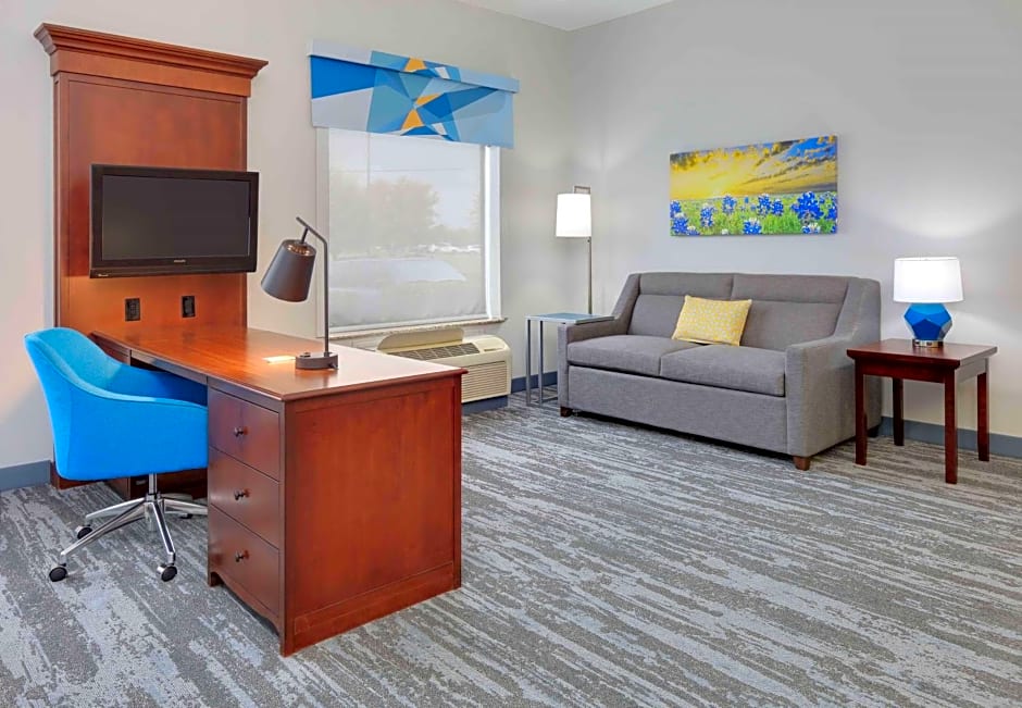 Hampton Inn By Hilton & Suites Dallas-Arlington-South