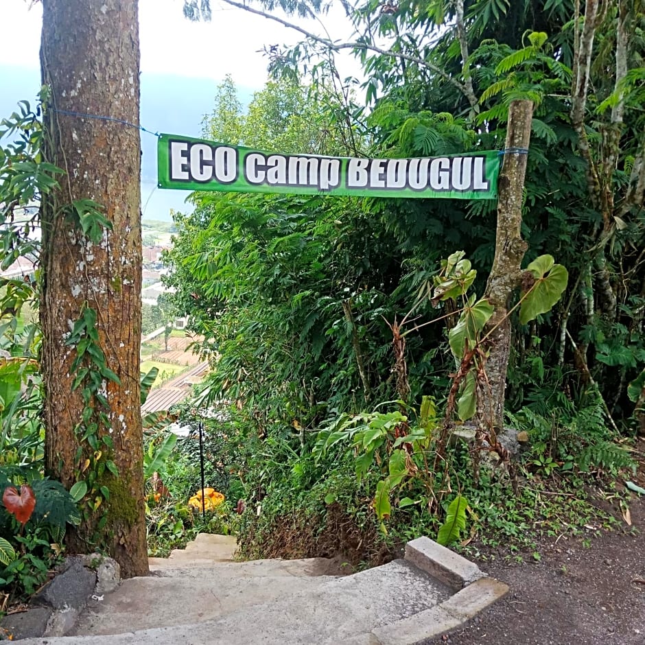 ECO Bedugul adventurer camp