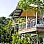O'Reilly's Rainforest Retreat