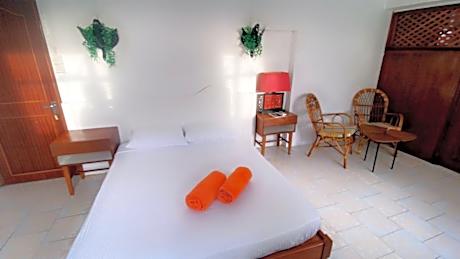 Large Double or Twin Room