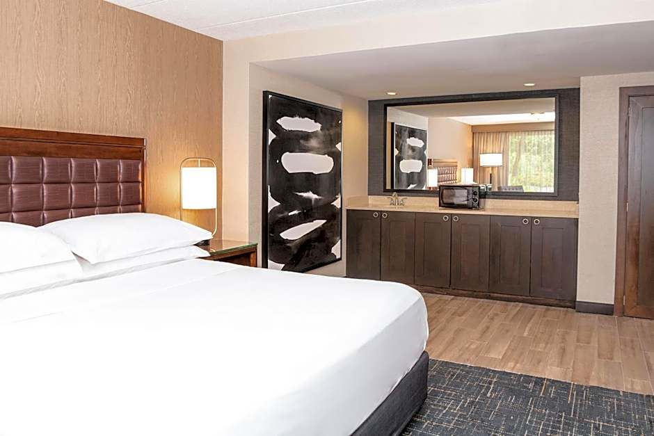 Photo 1 of 7 of Executive 1 King Bed with Sofabed Suite