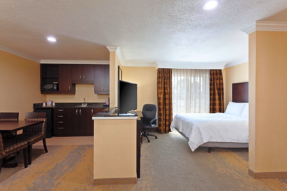 Holiday Inn & Suites San Mateo - SFO