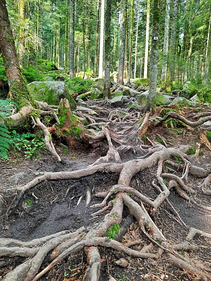 Au Cœur des Lacs - Chambres d'hôtes