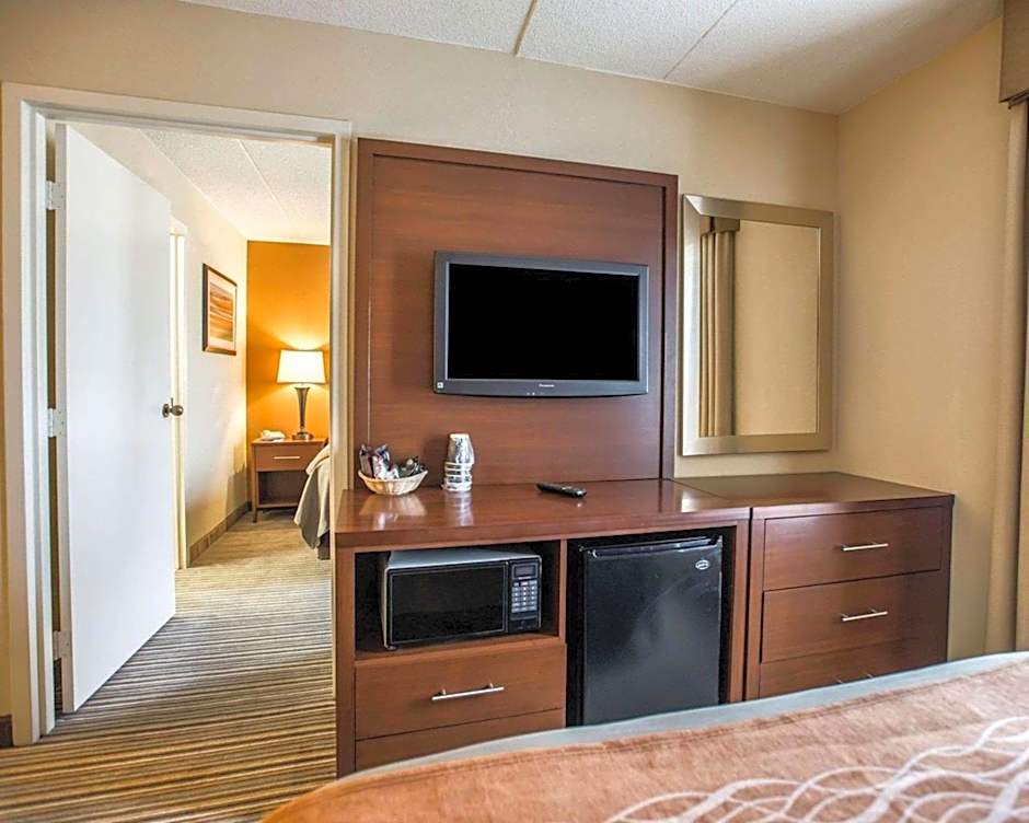 Comfort Inn At The Park