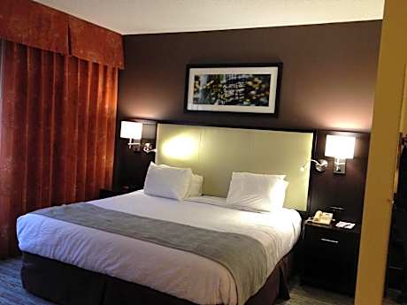 Deluxe King Room