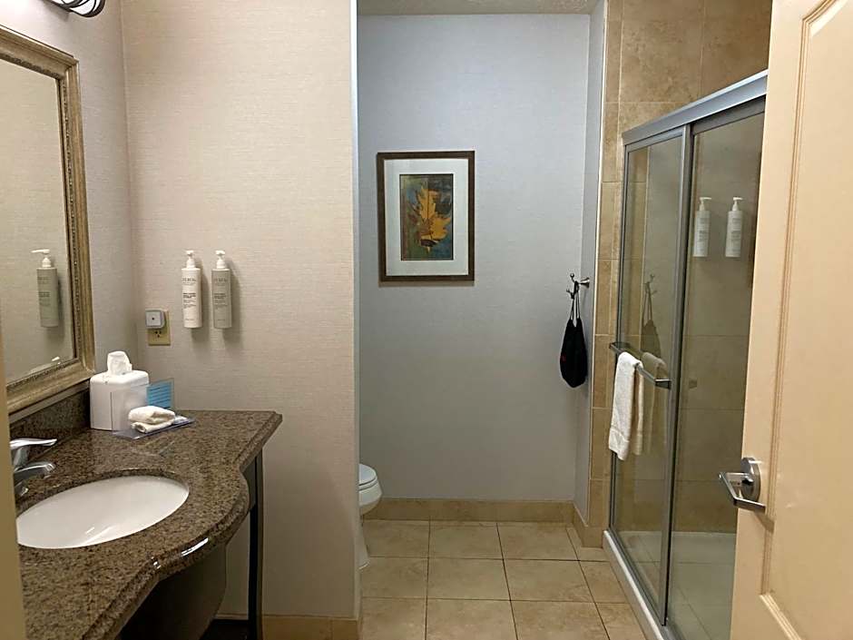 Hampton Inn By Hilton & Suites Carlsbad