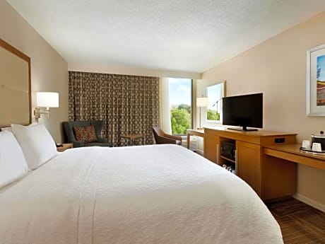Deluxe King Bed