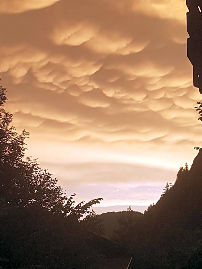 Hôtel Le Mont Jorat