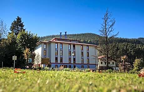 Hotel Balneario Areatza Nº 01224