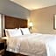 Hampton Inn By Hilton & Suites Grafton