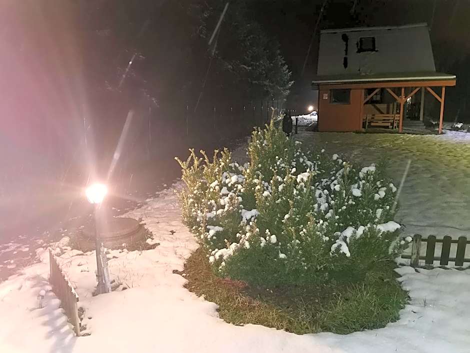 Domki Borowiackie nad brzegiem jeziora