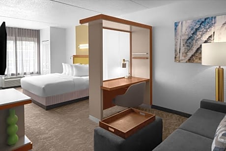 Studio, 1 King Bed (Mobility Accessible, Roll-In Shower)