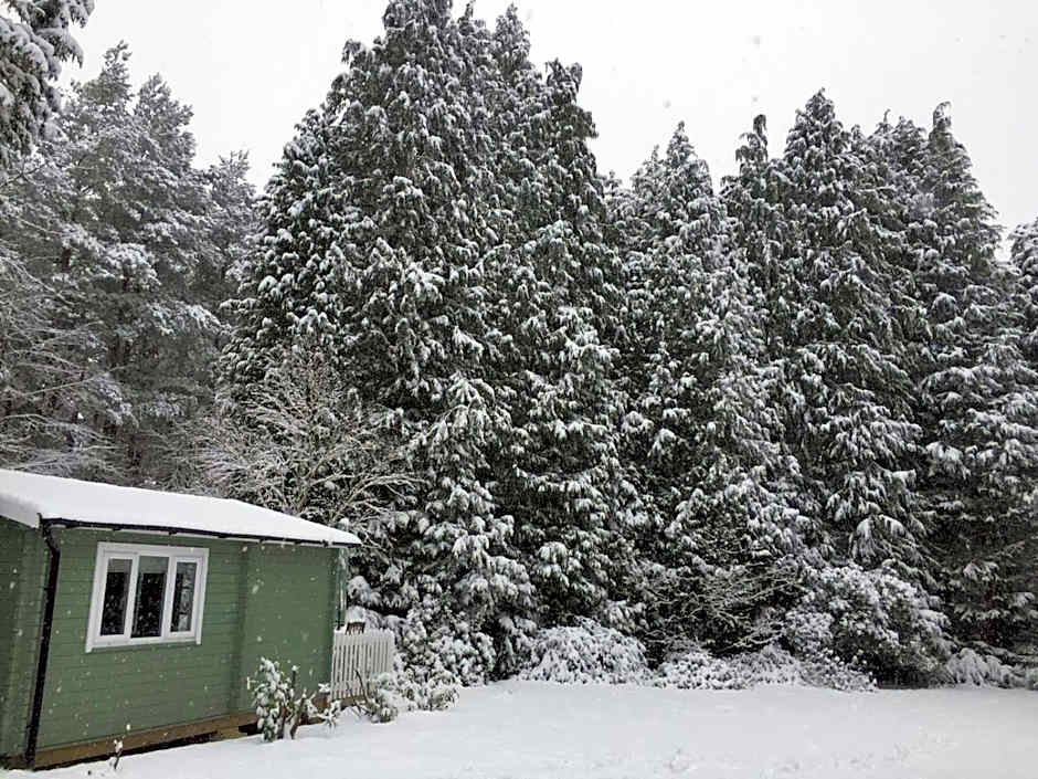 Woodland Cabin With private Wood-Fired Hot-Tub