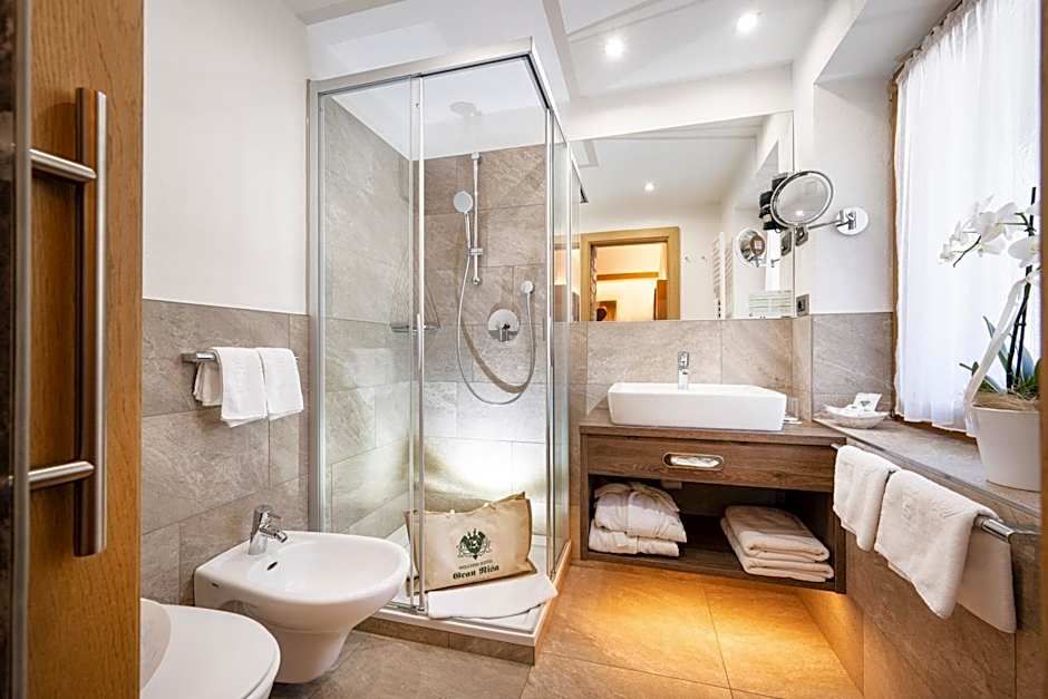 Wellness Hotel Gran Risa***S