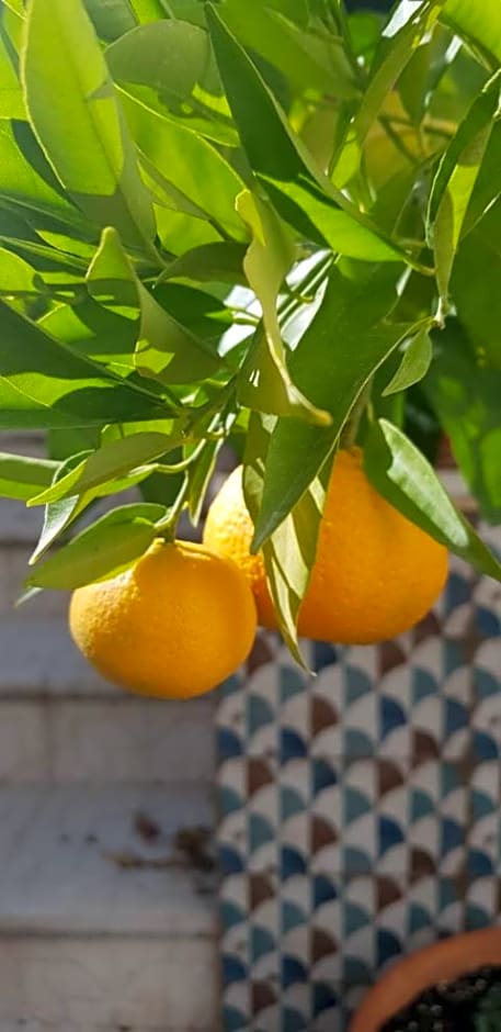 Casa Rural los Danzantes